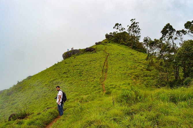 7 Days Kerala Tour- Munnar, Periyar, Houseboat & Varkala Beach - A Deep Dive into Your 7-Day Kerala Experience