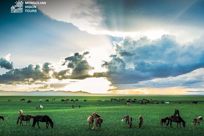 7 days Mongolian Heartland - Key Points