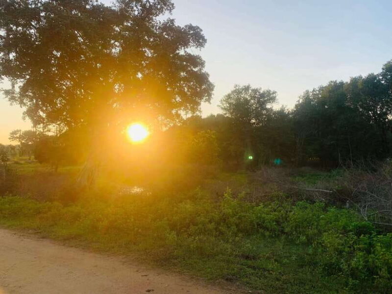 7 days Round tour in Sri Lanka - Discovering Sri Lanka: A 7-Day Adventure