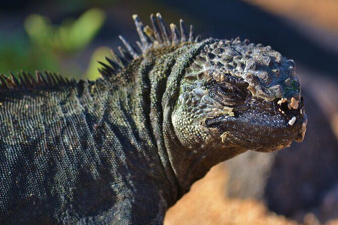 7 Days Tour in Quito and Santa Cruz/Galapagos - Best of Ecuador - Exploring Quito: A Cultural and Historical Treasure