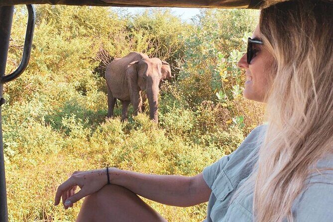 7 Days Tour in Sri Lanka Hotels with Breakfast and Luxury Car - An In-Depth Look at Your 7-Day Sri Lanka Adventure