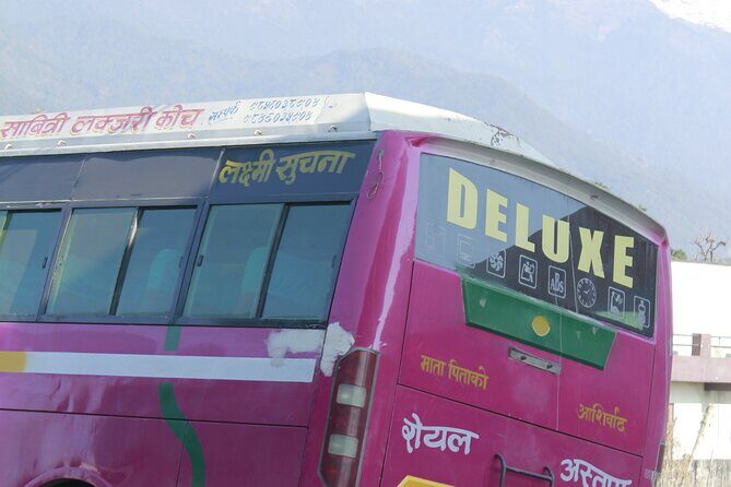 7 Days Tour on Poon Hill Trek and Chitwan Jungle Safari - A Closer Look at the 7-Day Journey