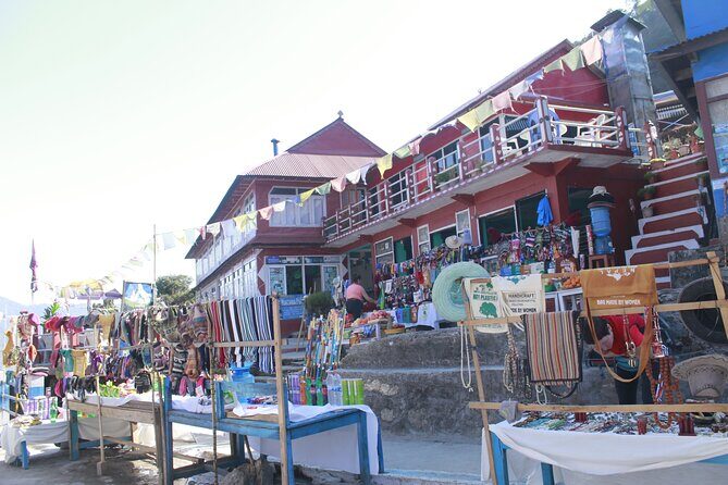 7 Days Tour on Poon Hill Trek and Chitwan Jungle Safari - Transition to Chitwan and Wilderness Adventure