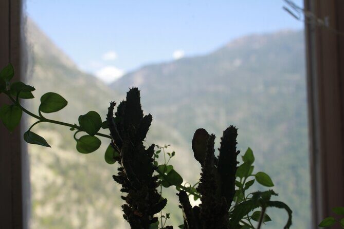 7 Days Tour on Poon Hill Trek and Chitwan Jungle Safari - What Makes This Tour Stand Out