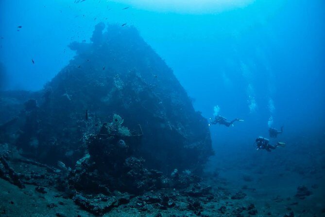 7 Fun Dives in Tulamben (for certified divers) - Premium Value Package - In-Depth Review of the 7 Fun Dives Package in Tulamben