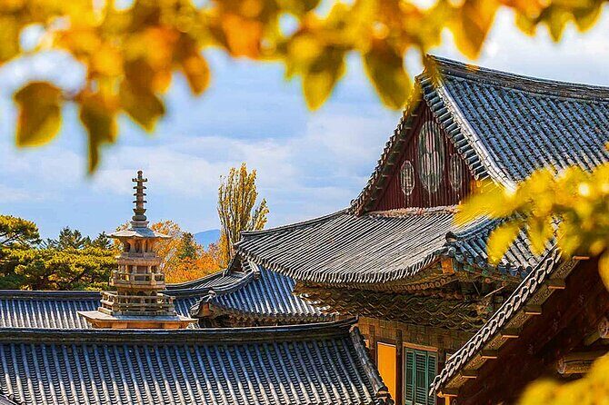 7 Highlights Gyeongju City One Day Small Group Tour from Busan - Experience the Historic Charm of Gyeongju in a Day