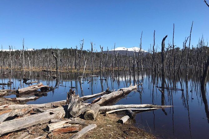 7-Hour Lakes Escondido & Fagnano - USHUAIA (Shared tour) - Exploring Tierra del Fuego: Lakes Escondido & Fagnano in a Day