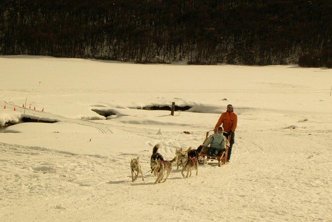 7-Hour Lakes Escondido & Fagnano - USHUAIA (Shared tour) - The Sum Up