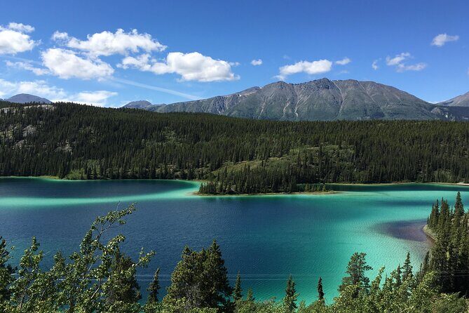 7 Hour Private Emerald Lake Van Excursion - Discover the 7 Hour Private Emerald Lake Van Excursion: A Balanced Look at an Unforgettable Journey