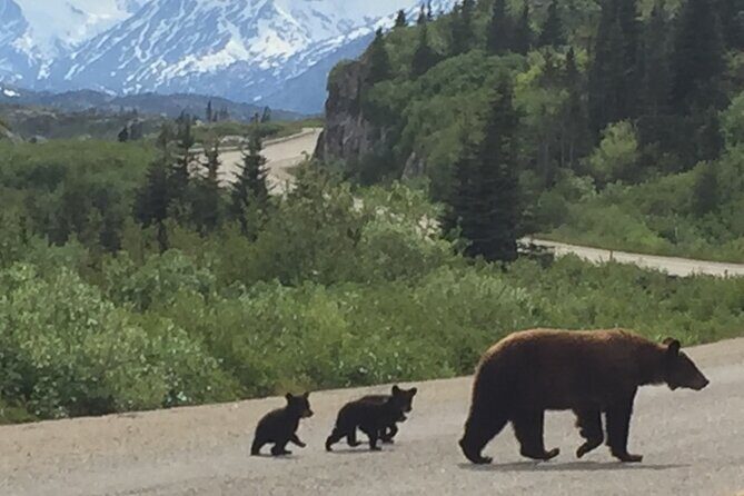 7 Hour Private Emerald Lake Van Excursion - Key Points