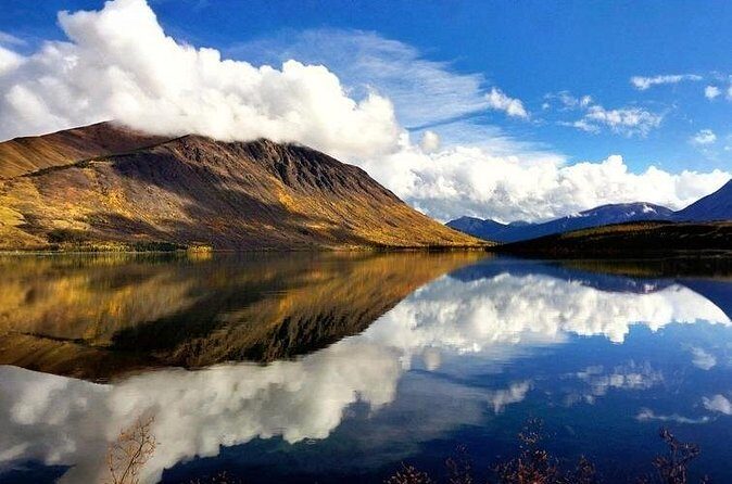 7 Hour Private Emerald Lake Van Excursion - Who Should Book This Tour?