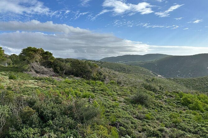 7 Hour Shared 4x4 Off Road Experience in Zakynthos - Who Should Consider This Tour?