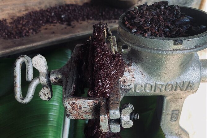 7 Hours Chocolate Making at Bribri Talamanca with Swimming - Key Points