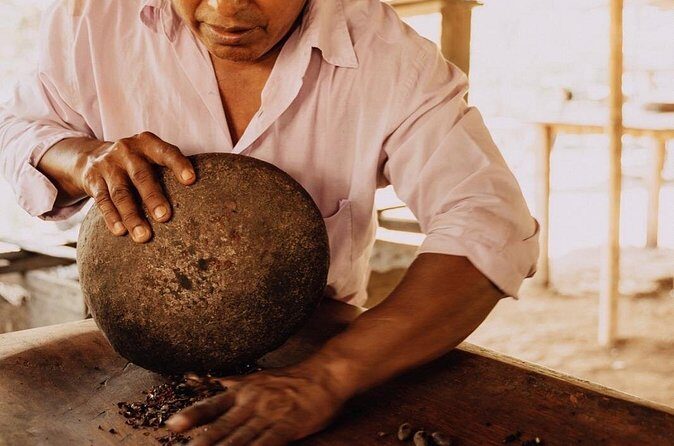 7 Hours Chocolate Making at Bribri Talamanca with Swimming - Final Thoughts on Value and Experience