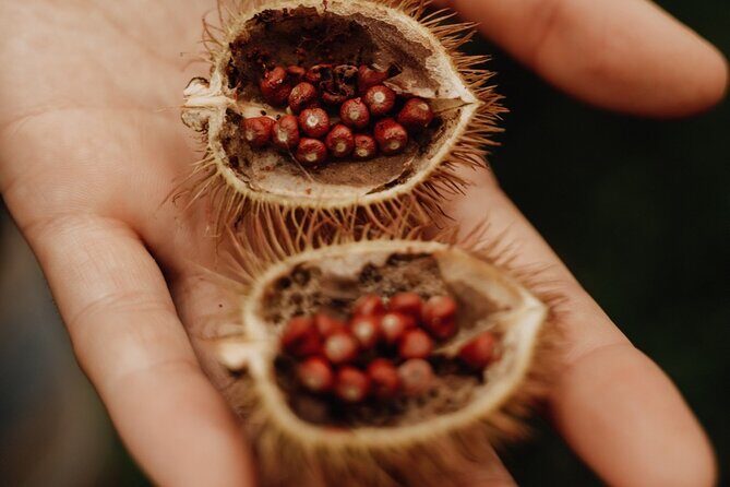 7 Hours Chocolate Making at Bribri Talamanca with Swimming - FAQ