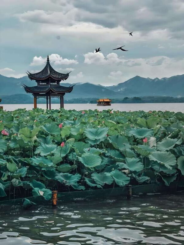 7 hours Hangzhou Tour Itinerary - A Quick Look at the 7-Hour Hangzhou Tour
