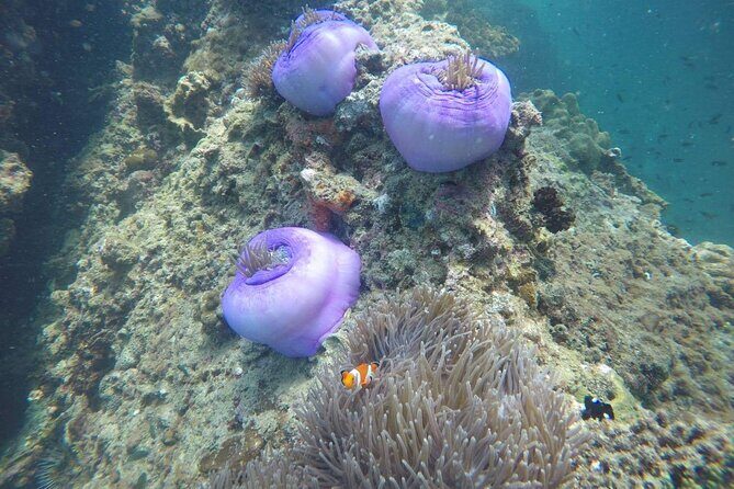 7 Islands Sunset Tour with Buffet Dinner & Night Snorkeling - FAQ