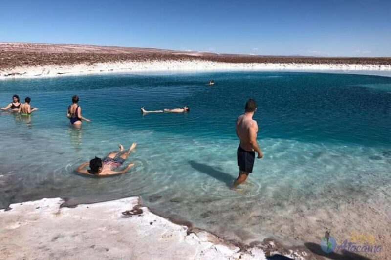 7 lagoons of Baltinache | San Pedro de Atacama - Key Points