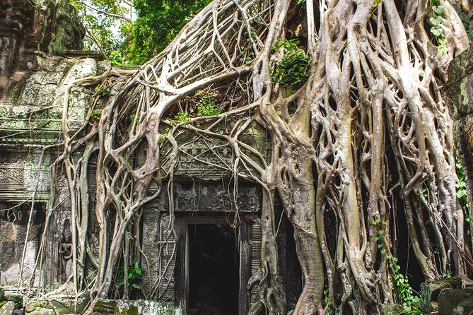 7-must See Temples in Angkor Park (Private Guided Tour) - Practical Tips and Insights