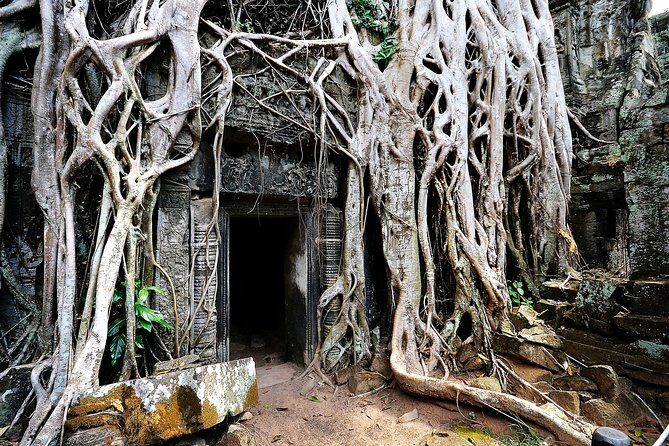 7-must See Temples in Angkor Park (Private Guided Tour) - Who Will Love This Tour?