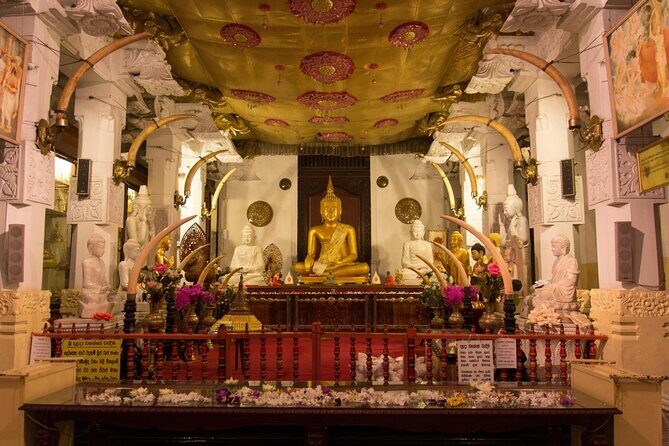 7 Nights Private Tour Of Sri Lanka - A Deep Dive into the 8-Day Itinerary