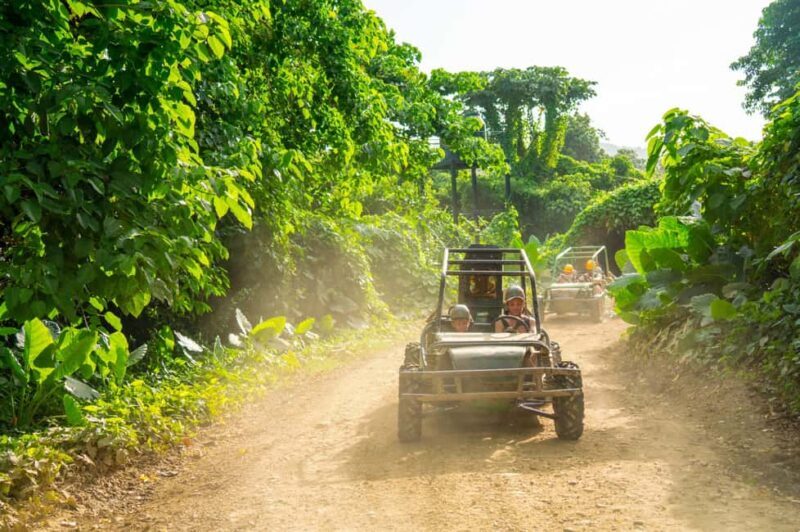 7 TOURS in 1 Day: Zipline Chairlift ATV Horseback Punta Cana - A Deep Dive into the Experience