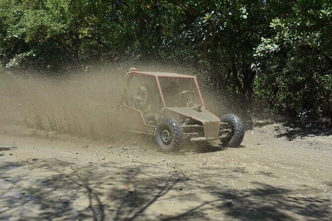 7 Waterfalls Damajagua and Dune Buggy - Who Should Consider This Tour?