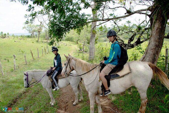 7:30am Jungle Farm trail Ride plus Xunantunich adventure - The Sum Up