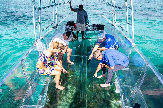 75 Minutes Clear Boat Tour in Caicos Island - Experience the 75 Minutes Clear Boat Tour in Caicos Island