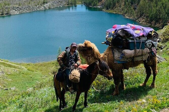 8 Day Altai Tavan Bogd Private Trekking - Exploring Mongolia’s Hidden Treasure: The 8-Day Altai Tavan Bogd Trekking Tour