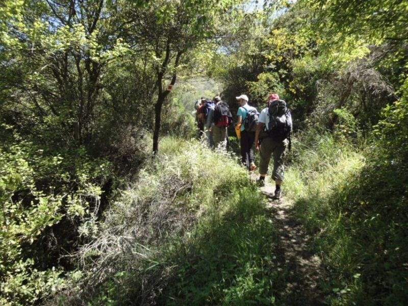 8-day Archaeology & Activity Holiday in Greece - Practical Details and Tips
