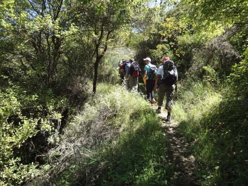 8-day Archaeology & Activity Holiday in Greece - Who’s This Tour Best For?