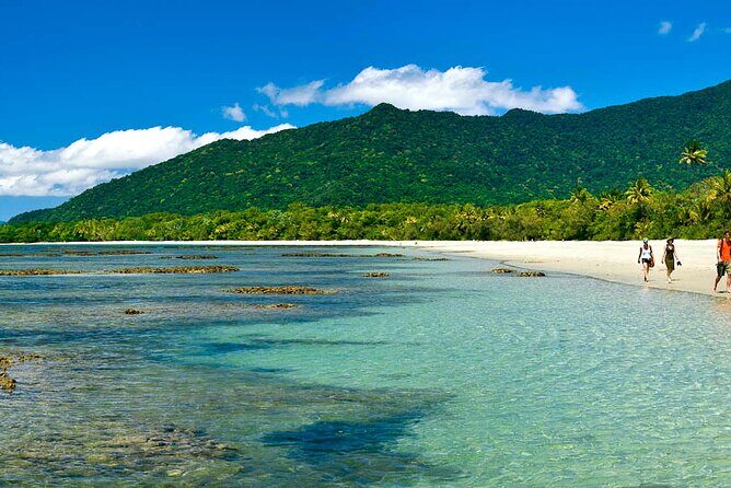 8-Day Cairns Tour: Great Barrier Reef, Kuranda, Daintree Rainforest - A Deep Dive into the 8-Day Cairns Experience