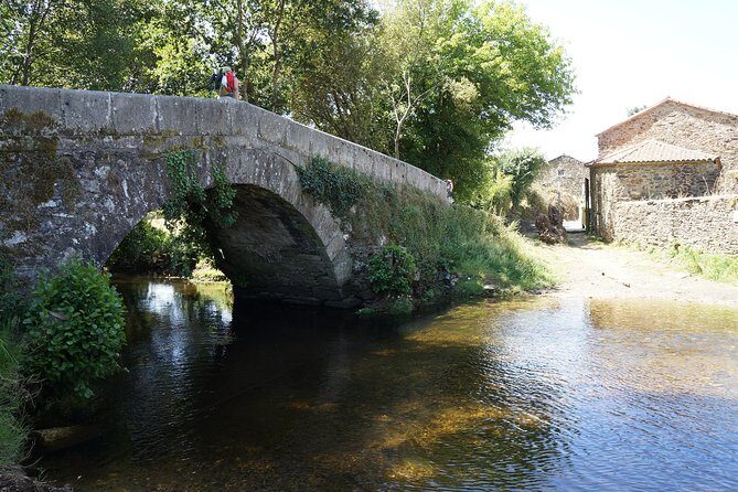 8-Day Camino Frances Pilgrimage Tour from Sarria to Santiago - 2nts Santiago - Key Points
