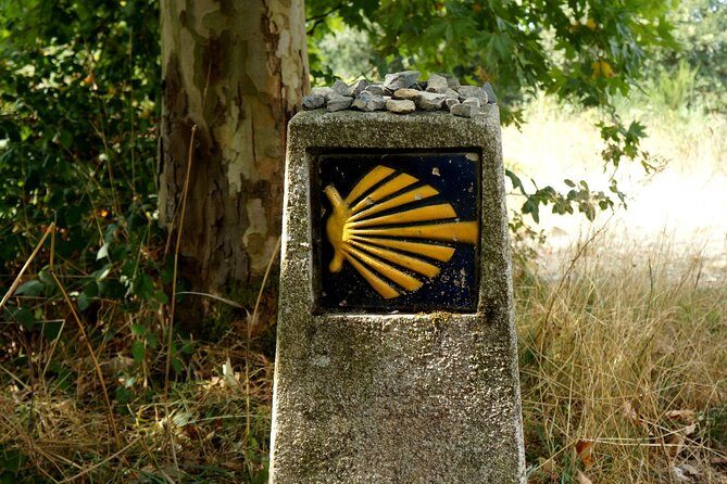 8-Day Camino Frances Pilgrimage Tour from Sarria to Santiago - 2nts Santiago - Final Thoughts