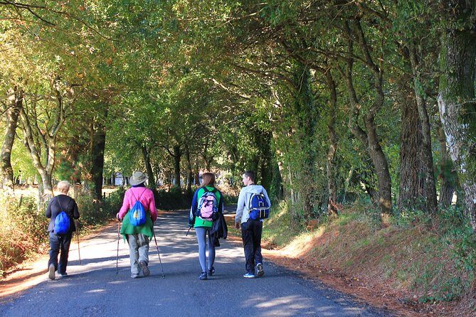 8-Day Camino Frances Pilgrimage Tour from Sarria to Santiago - 6 walking days - Practical Details