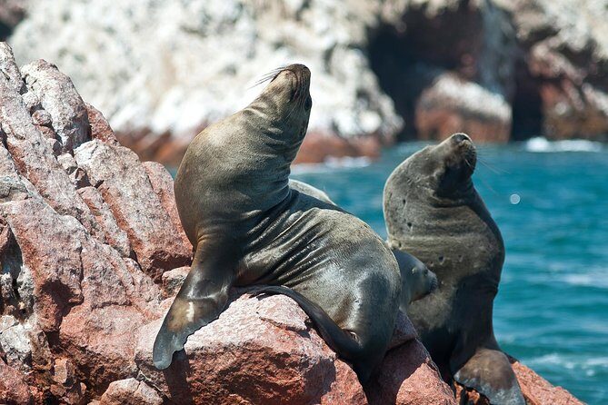 8-Day Enigmas of Peru - Who Will Love This Tour?