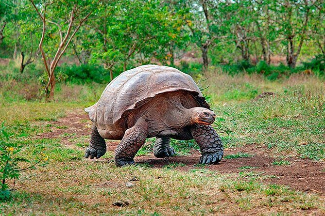 8 Day Galapagos Island Hopping - Key Points