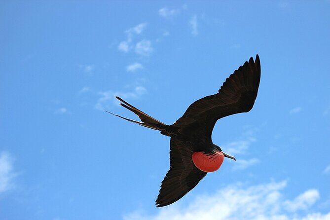 8 Day Galapagos Island Hopping - The Final Word: Who Should Consider This Tour?