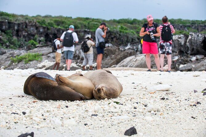 8-Day Galapagos Island Hopping Tour: Isabela, Giant Tortoises, and Snorkeling - FAQs