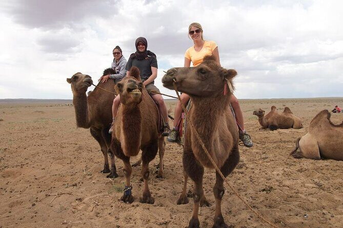 8 Day Great Gobi and Central Mongolia - What Travelers Love and What to Keep in Mind