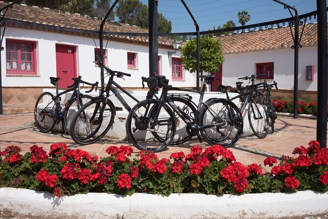 8 Day Guided Cycling and Walking Tour of Andalusia, Spain - Practical Details: What You Need to Know