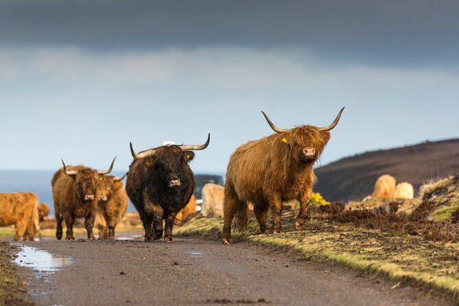 8-Day Isle of Skye, Orkney & North Coast 500 tour from Edinburgh - Who Should Consider This Tour?
