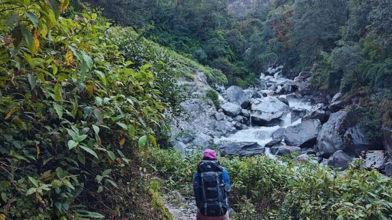 8 Day Langtang Valley Trek for Beginners - A Deep Dive Into the Langtang Valley Trek Experience