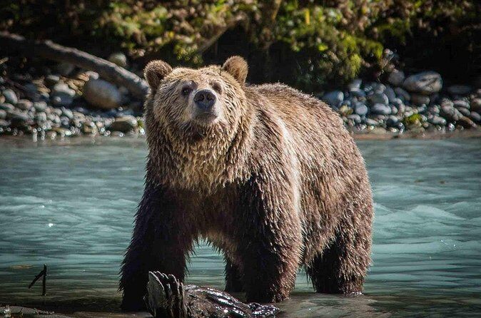 8 Day Private Tour Unpacked Western Canada in English or German - FAQ about the 8-Day Western Canada Private Tour