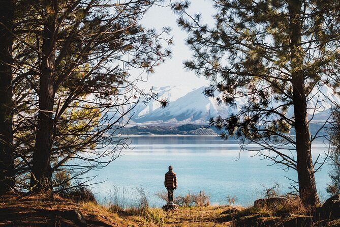 8 Day Southern Secrets Small Group Tour - A Detailed Breakdown of Your South Island Journey