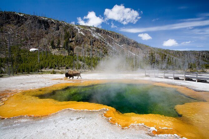 8-Day Tour in San Francisco, Yellowstone, Grand Canyon and Vegas - Who This Tour Is Best For