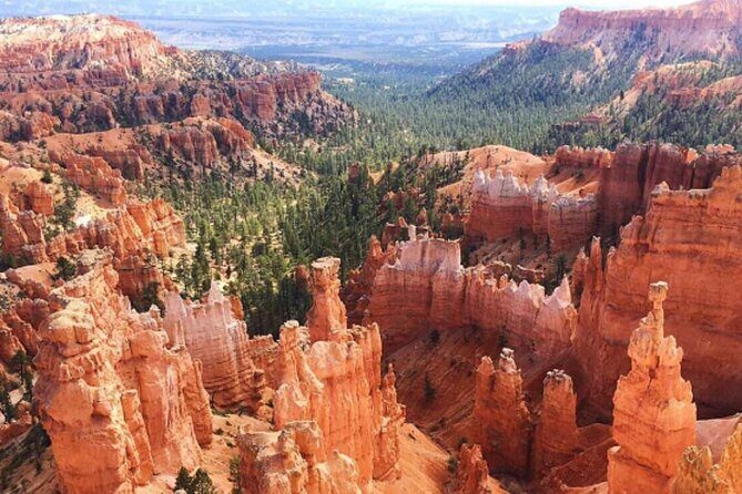 8 Day Trip Las Vegas Antelope Canyon Bryce Yellowstone - Who Should Consider This Tour?