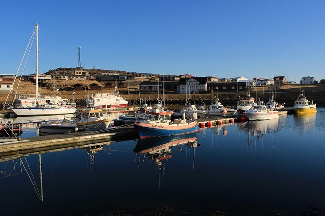 8 Day Winter Circle Tour, Ring Route of Iceland with Snæfellsnes Peninsula - Practical Details and Considerations