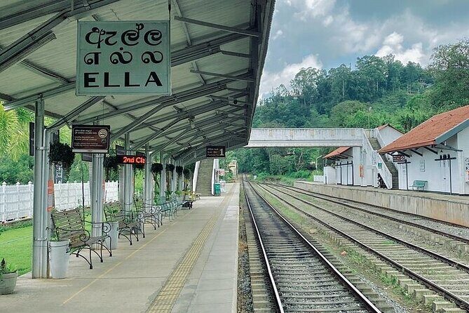 8 Days and 7 Nights Sri Lanka Tour - Final Thoughts